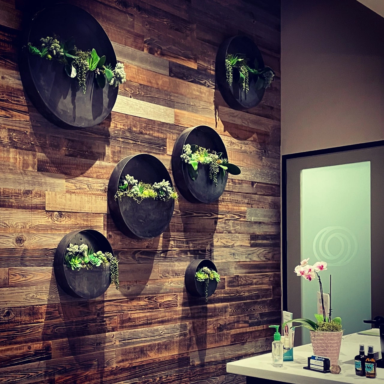 Yinfinite Wellness clinic sanctuary reception with natural reclaimed wood and living plants